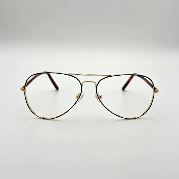 Aviator Eyglasses