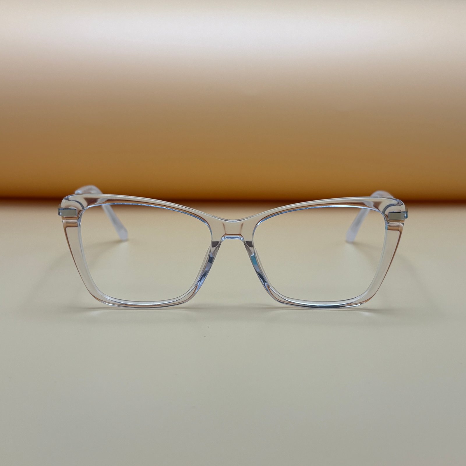 Jimmy Choo Transparent